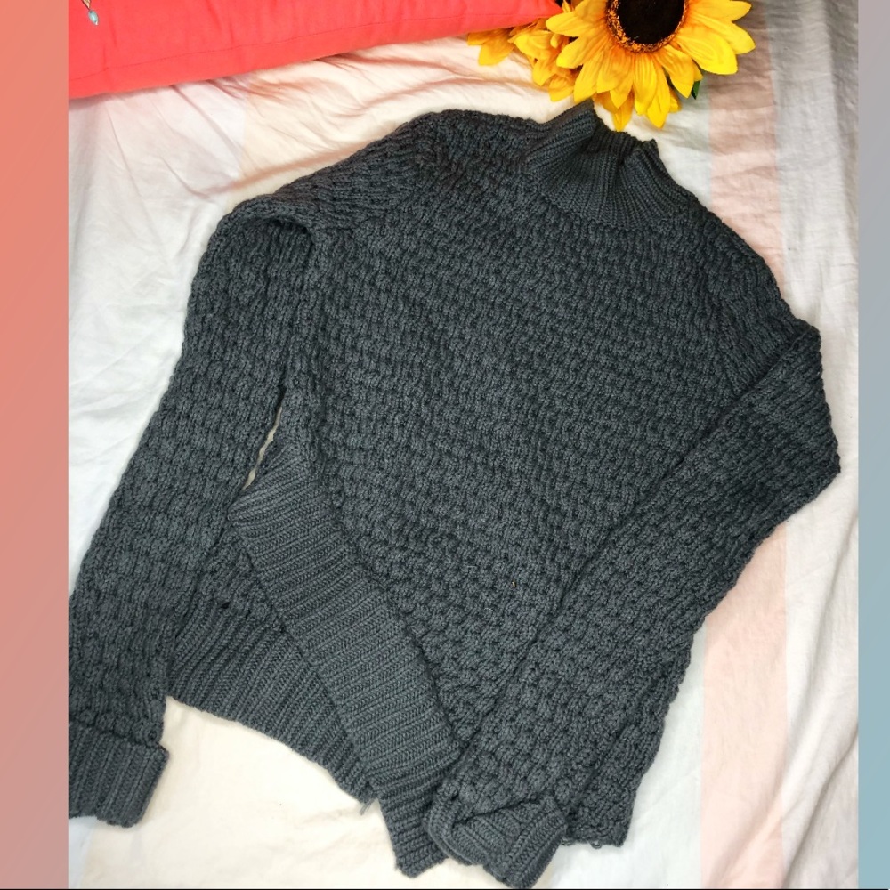 ELEMENT EDEN. Grey sweater turtle neck